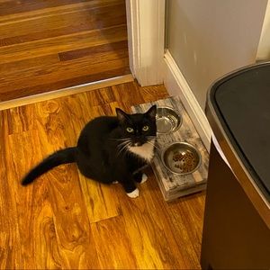 Meet your Posher, Ava